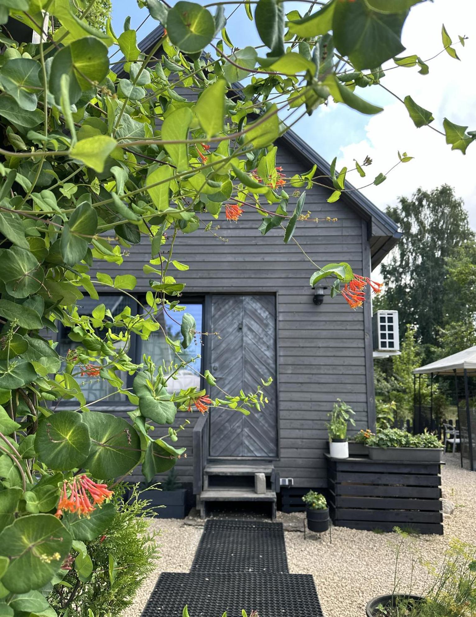 Amazing Little House On An Island With Garden Villa Riga Eksteriør bilde